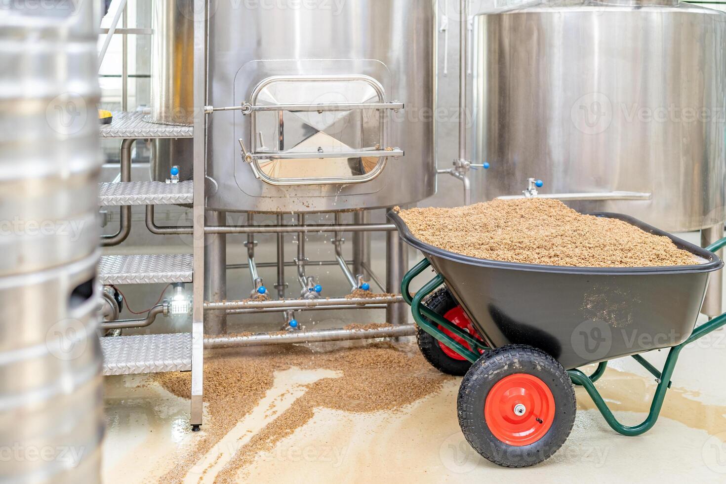 malt for brewing beer in a brewery photo