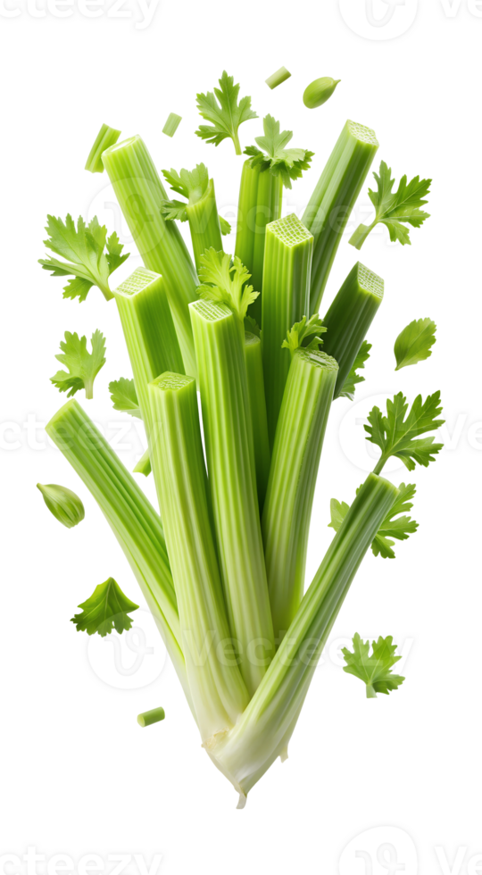 Healthy green celery sticks with leaves, transparent png