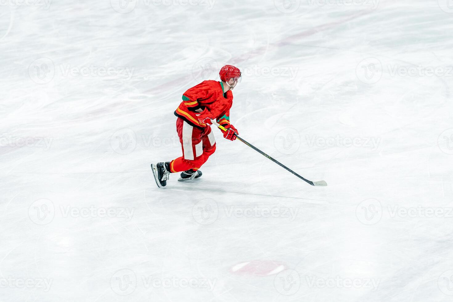 hockey player on the ice surface of the stadium photo