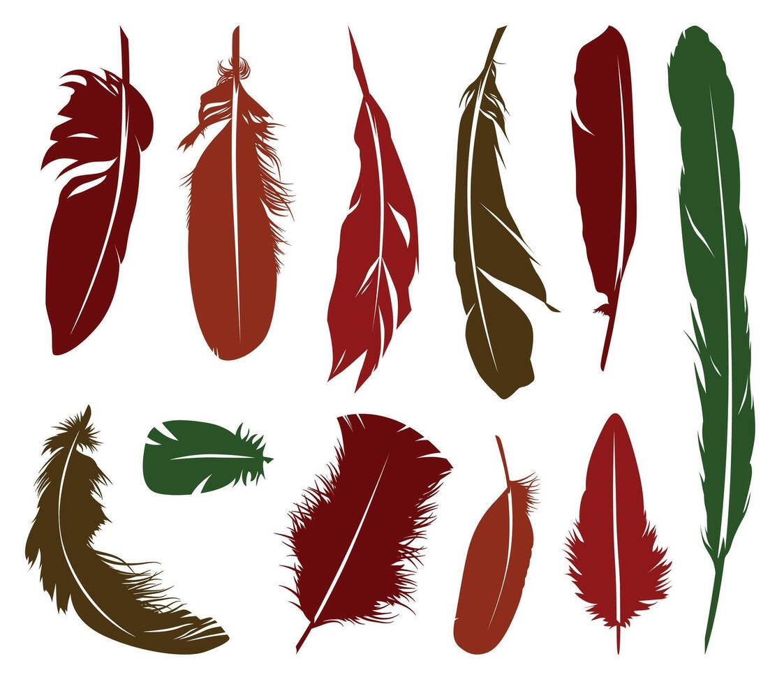 Multiple bird feathers silhouettes vector