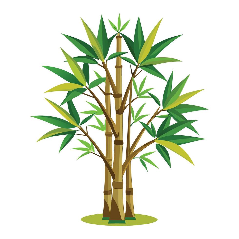 Bamboo tree illustration, green, local tree, nature vector