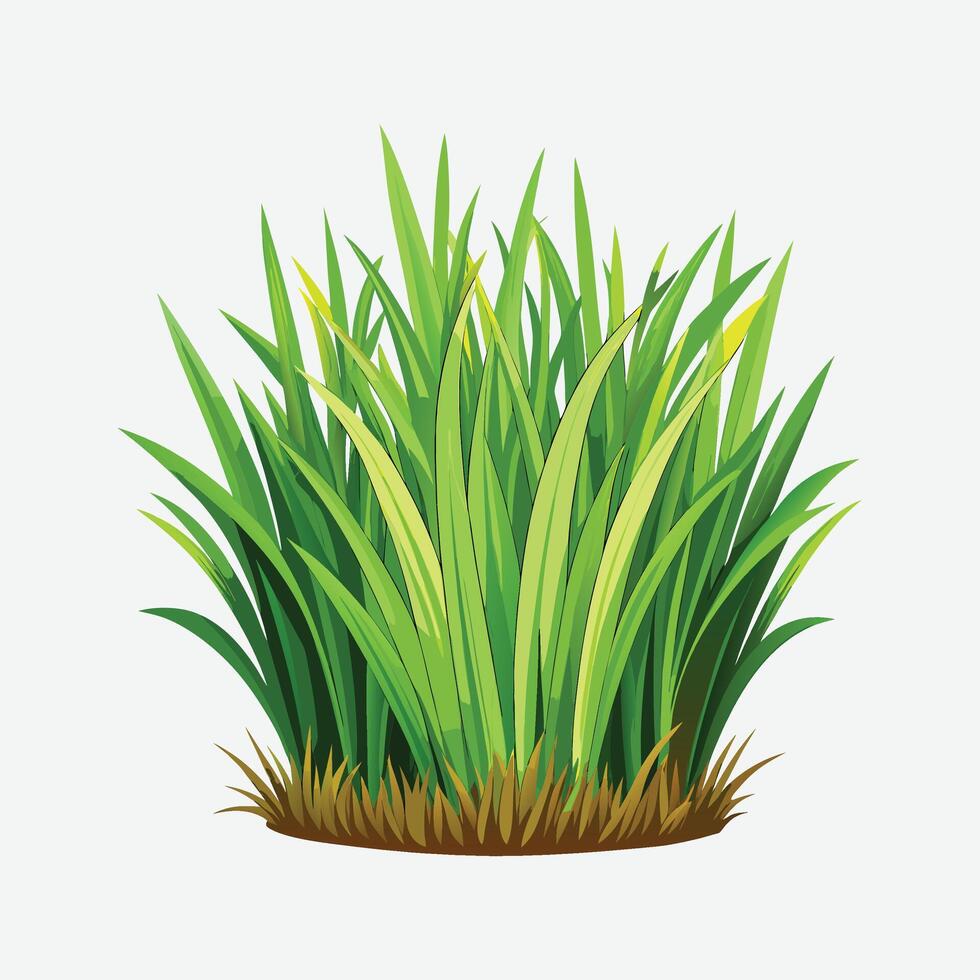green grass illustration, filed, art vector
