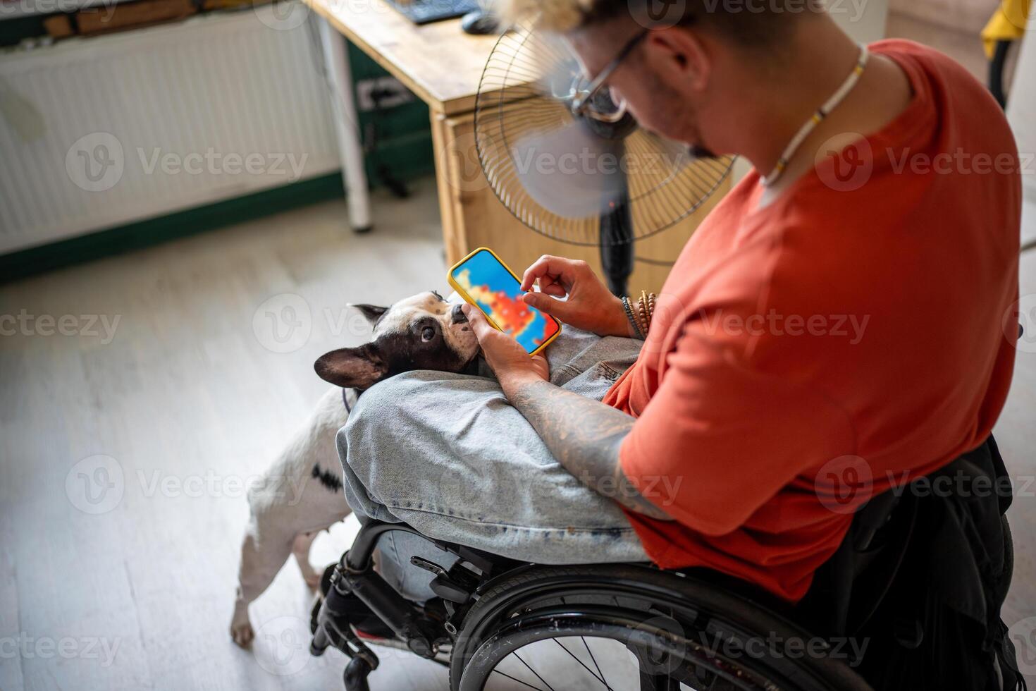 Disabled man in wheelchair checks weather forecast on phone screen, sits by fan with dog at home. photo