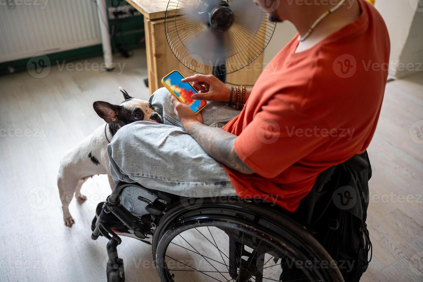 Disabled man in wheelchair looks at weather forecast on phone screen, sits by fan with dog at home. photo