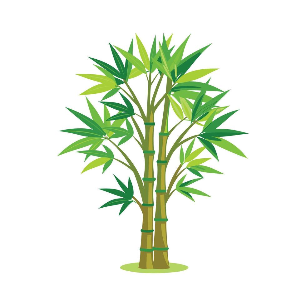 Bamboo tree illustration, green, local tree, nature vector