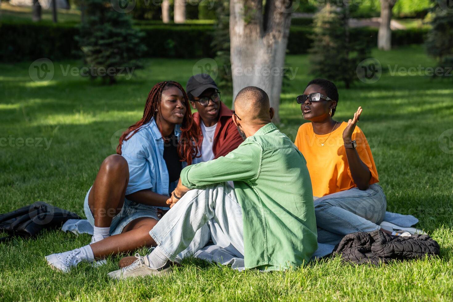 Relaxed group of African American close friends sitting on grass in park having fun picnic together photo