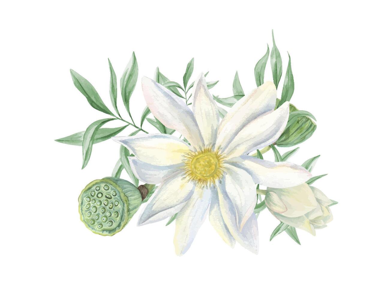 White lotus flower with delicate green leaves, seed head and buds. Waterlily and eucalyptus branches. Elegant Floral Arrangement. Top view. Watercolor illustration. For wedding greeting, invitation vector