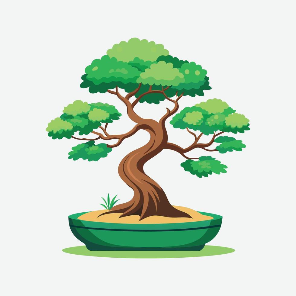 Natural Bonsai green tree illustration vector