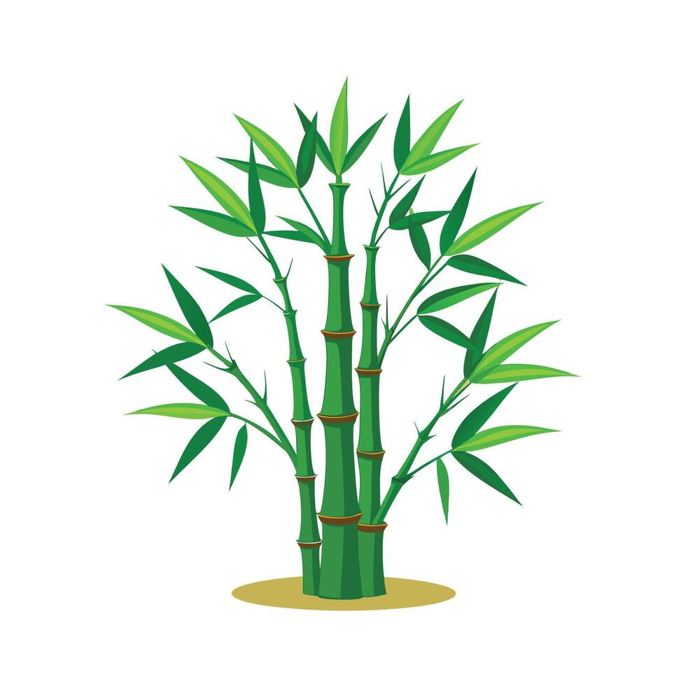 Bamboo tree illustration, green, local tree, nature vector