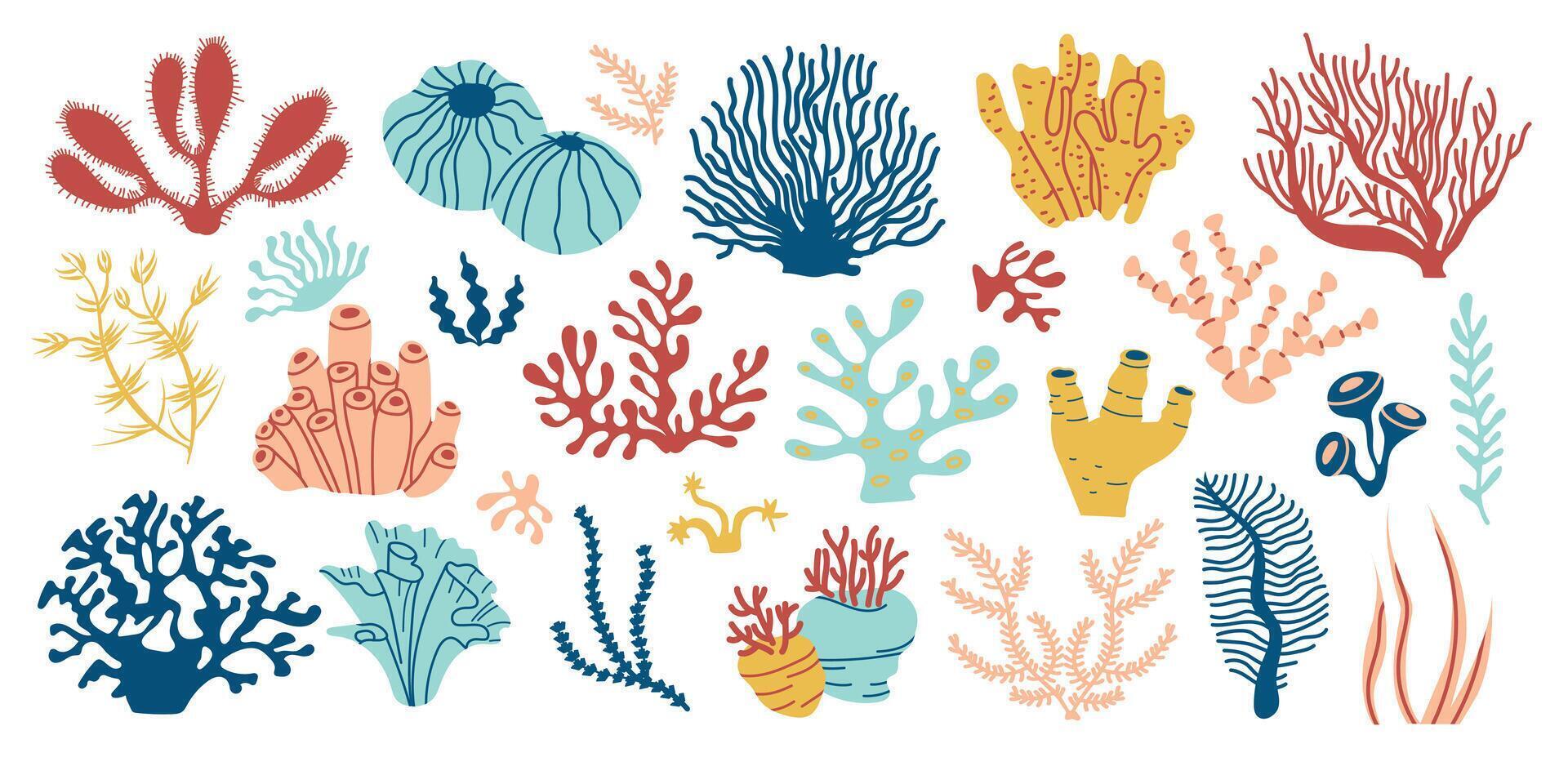 Coral set. Underwater flora, ocean plants, seaweed. Bright sea elements isolated on white. Aquatic plant, algae, tropical seabed elements set. vector