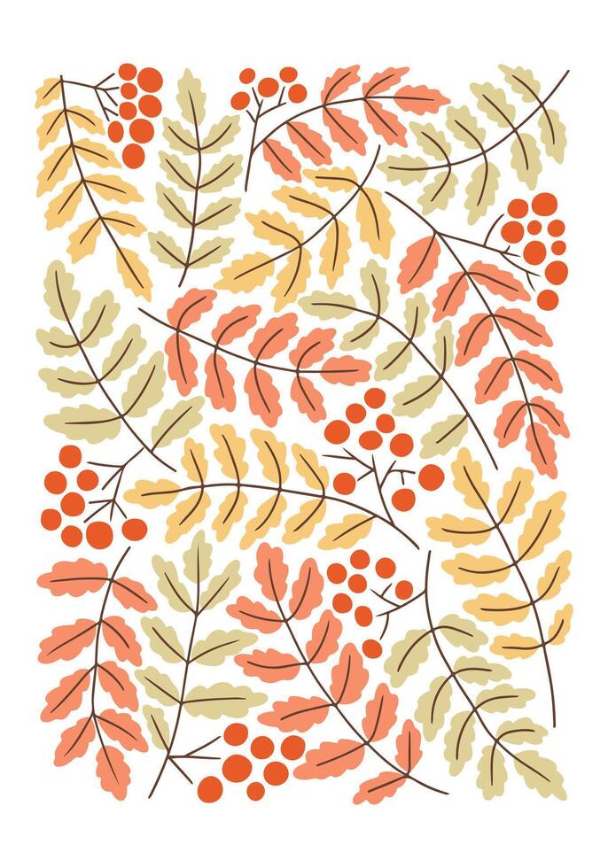Autumn Vintage botanical mid century poster or art print with rowan leaves and berries. Hippie 60s, 70s style. Isolated leaves on white background in nostalgic style vector