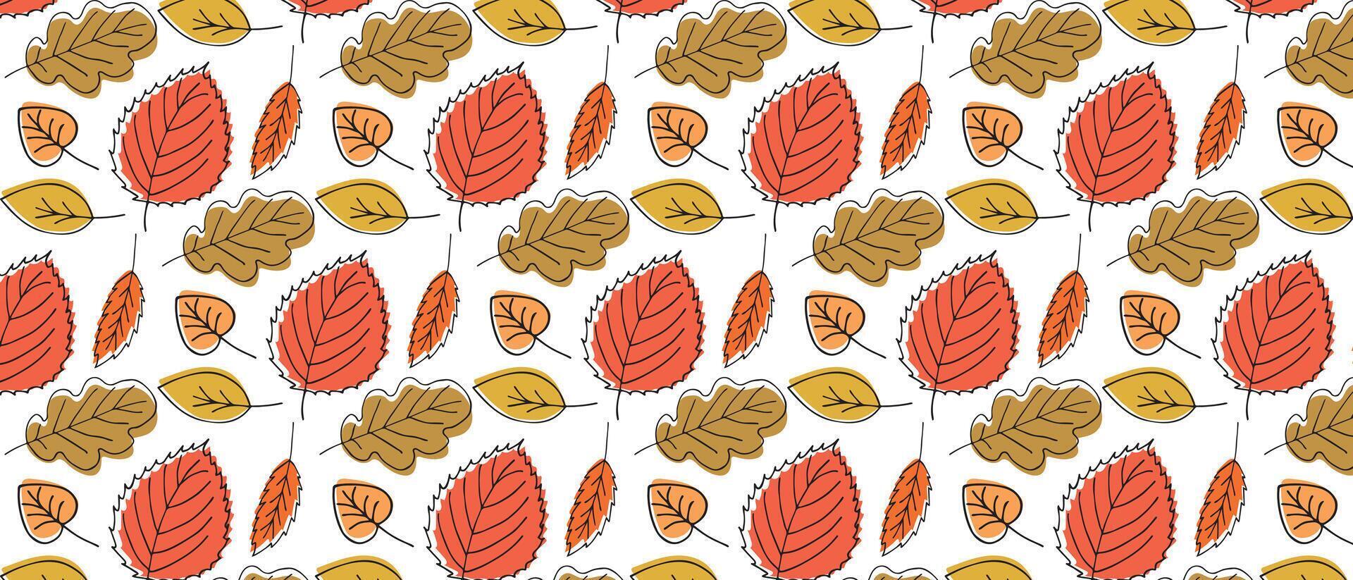 Autumn background with hand drawn autumn leaves. vector