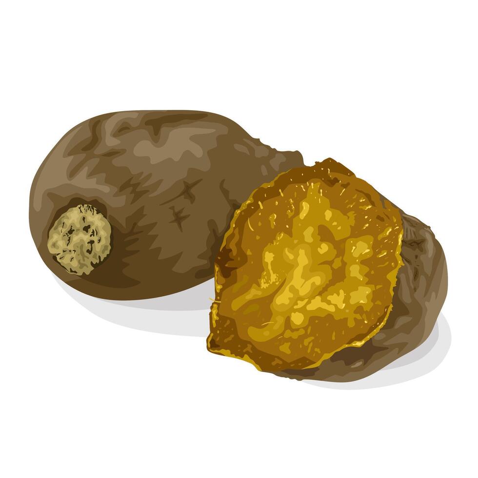 Baked sweet potato illustration, isolated on white background. vector