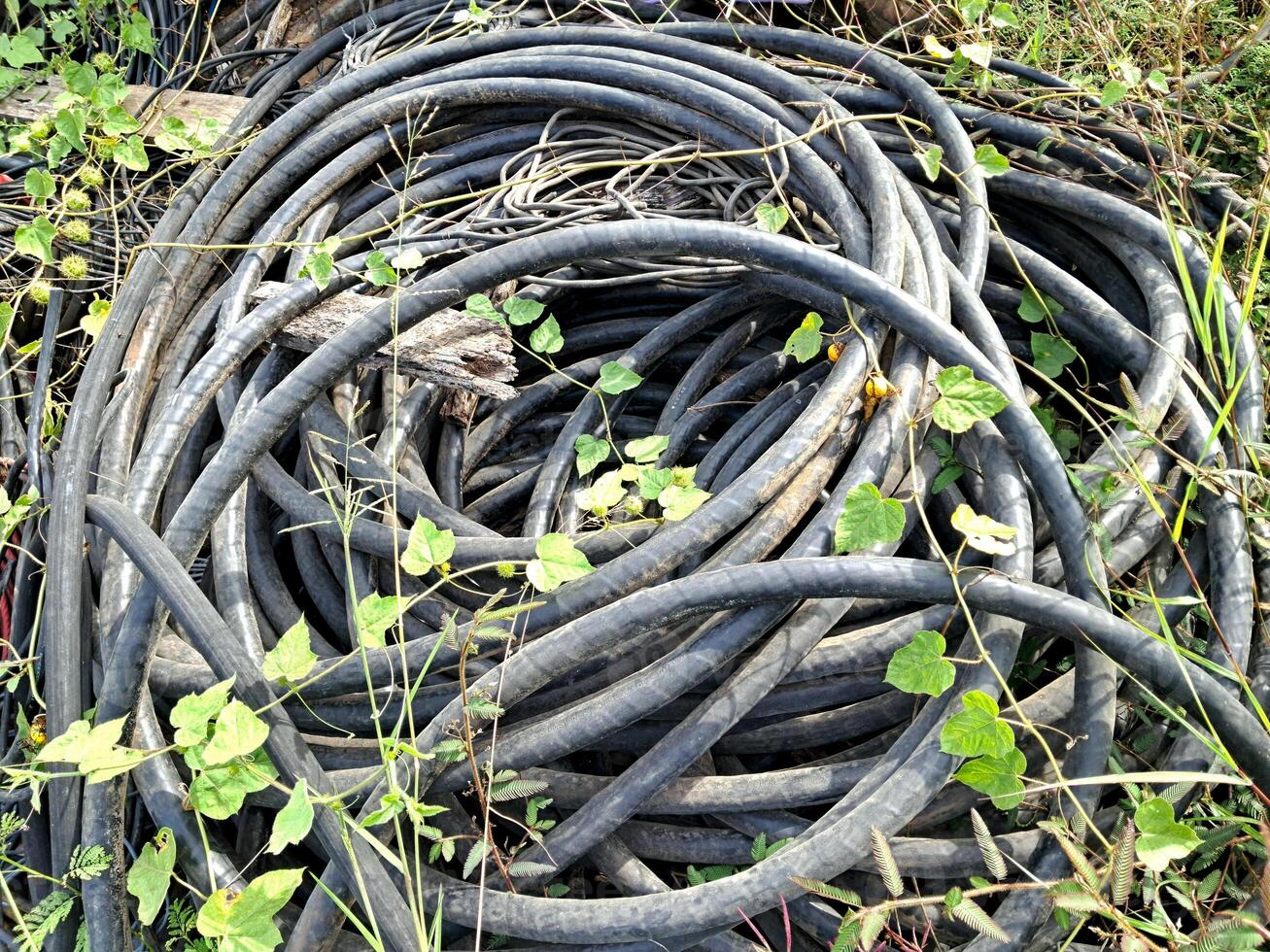 A collection of used cables overgrown with grass which are usually used in the power generation industry photo