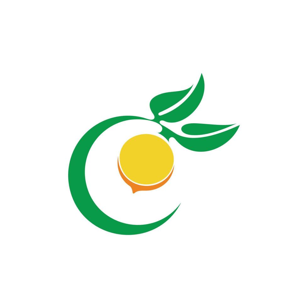 letter c vitamin orange fruit simple logo vector