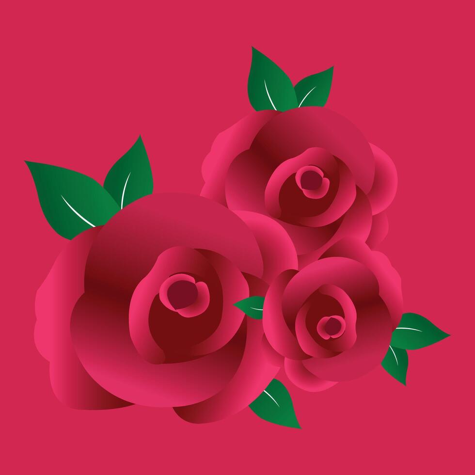 Three Red Roses with Green Leaves in Red Background vector