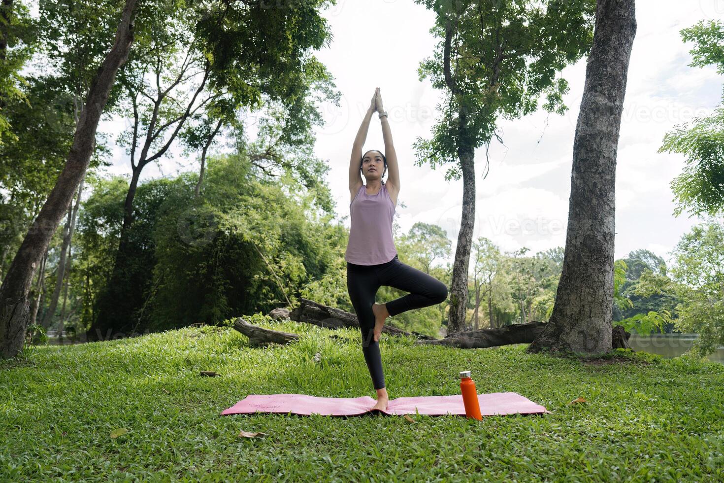 Young Woman Practicing Yoga in a Serene Park Setting Surrounded by Lush Greenery and Trees photo