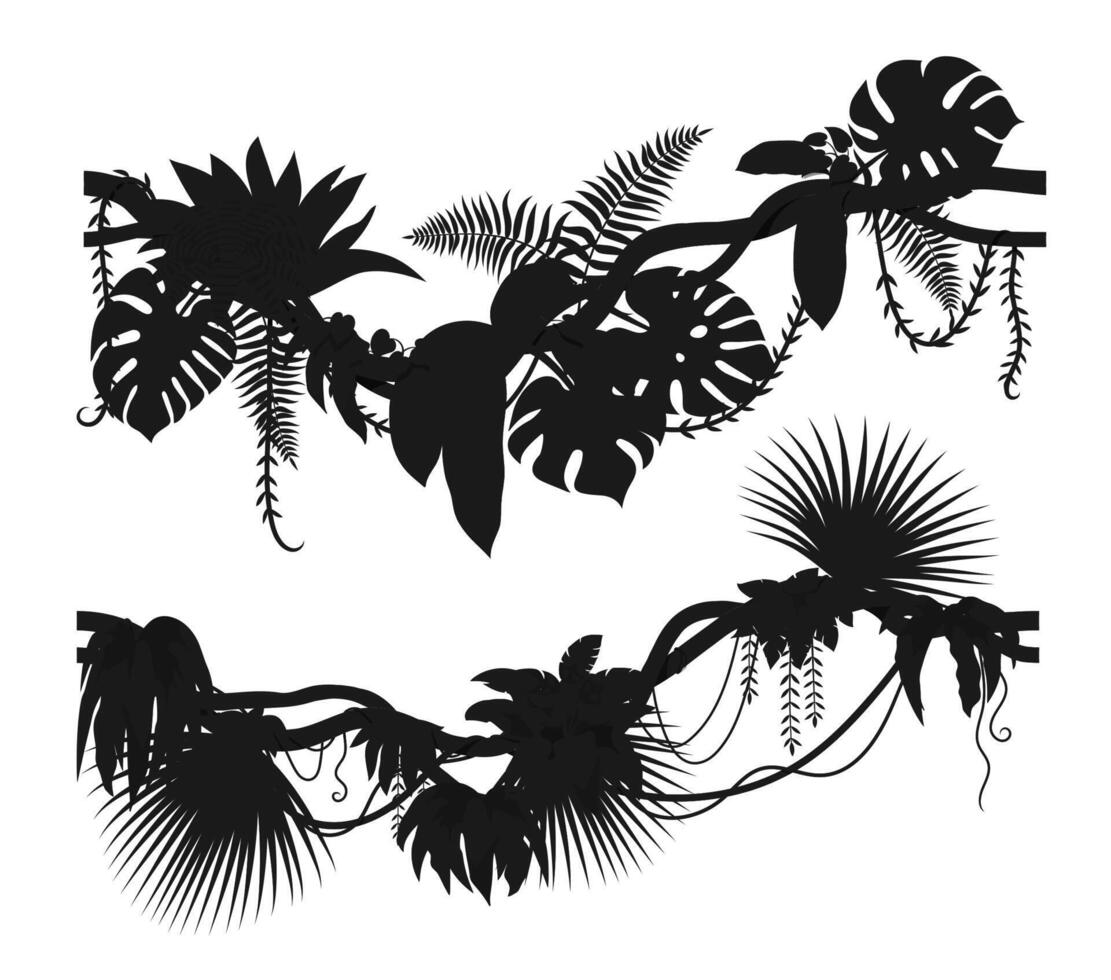 Tropical jungle forest liana branch silhouettes vector