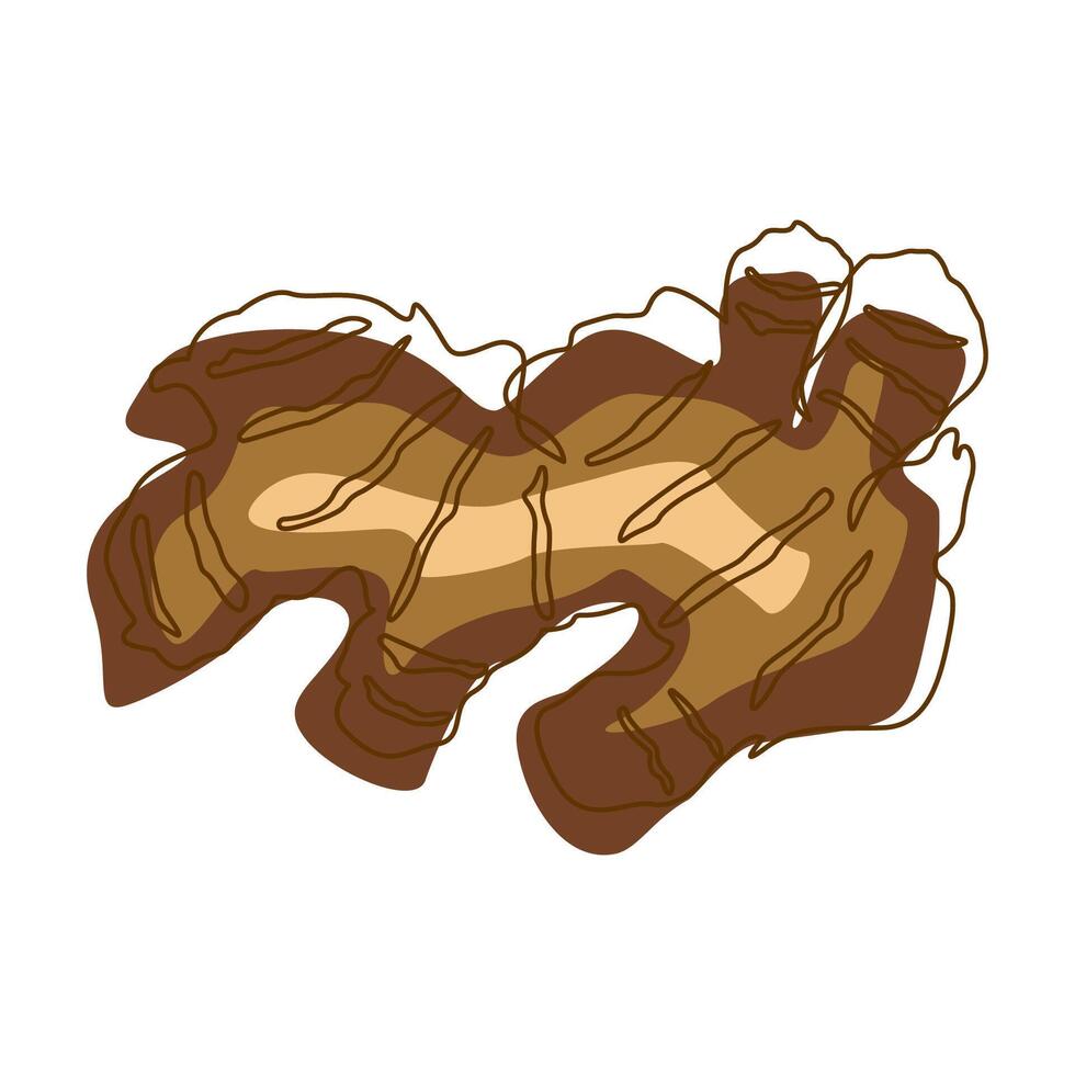 Ginger Spice Condiment Aromatic Herbal in Line Art Style vector