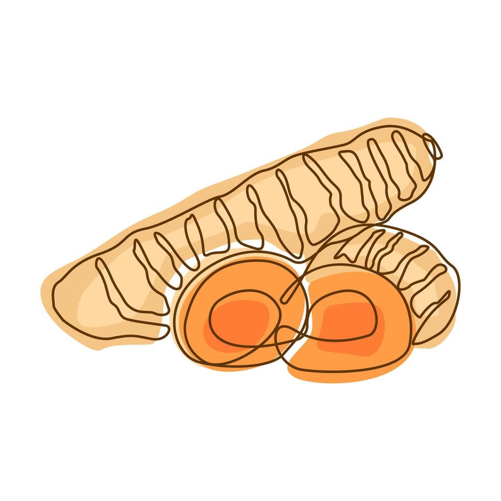 Turmeric Spice Condiment Aromatic Herbal in Line Art Style vector