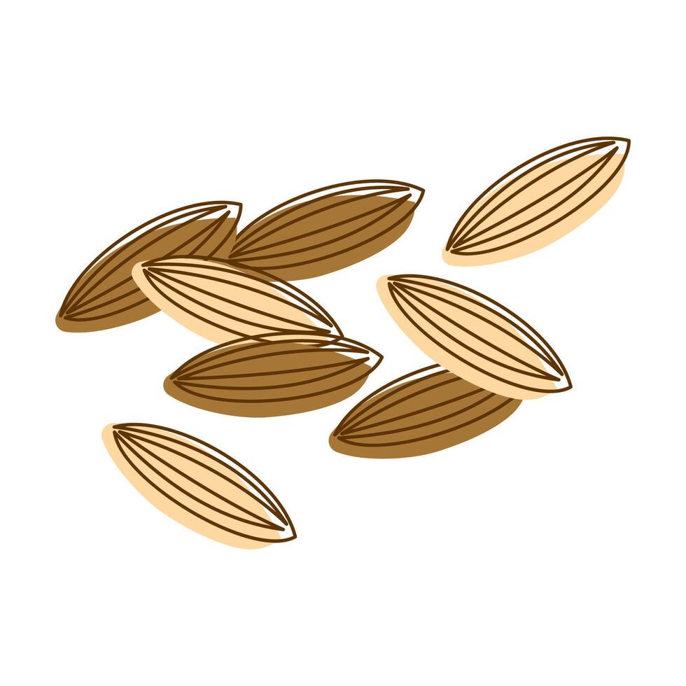 Cardamom Seeds Spice Condiment Aromatic Herbal in Line Art Style vector