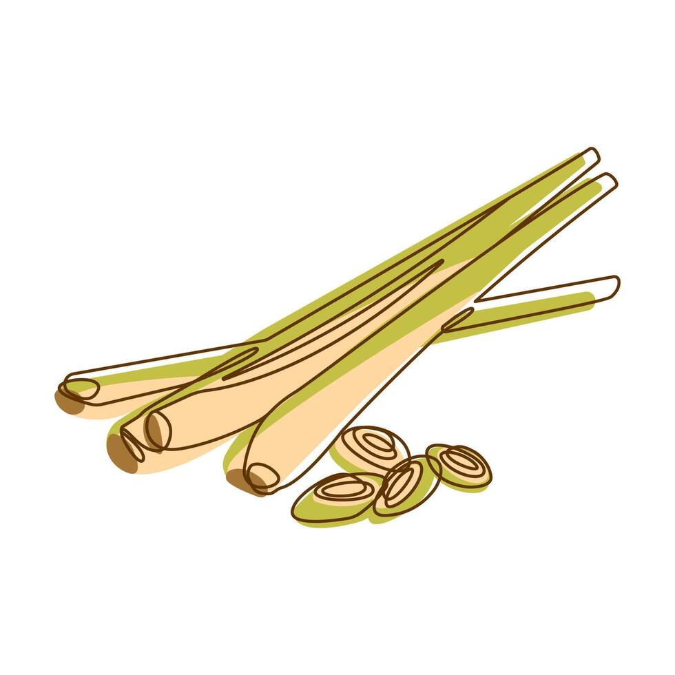 Lemongrass Leaf Spice Condiment Aromatic Herbal in Line Art Style vector