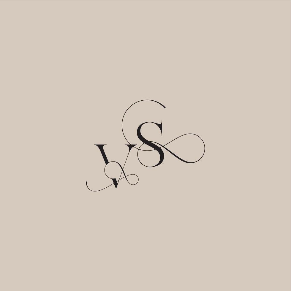 line and bold mix concept VS wedding serif monogram logo letter beautiful initial vector