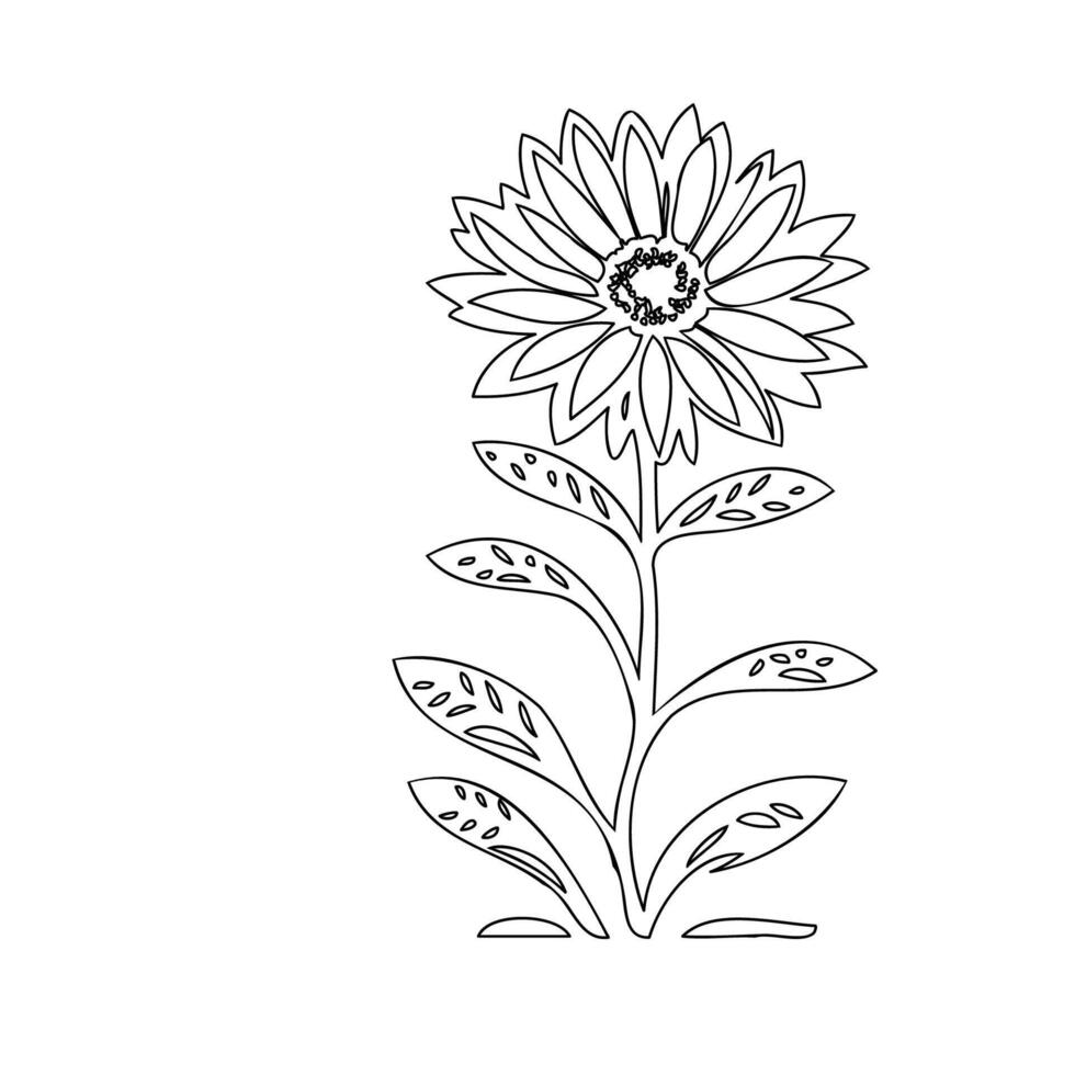 Daisy flower plant illustration sketch outline vector