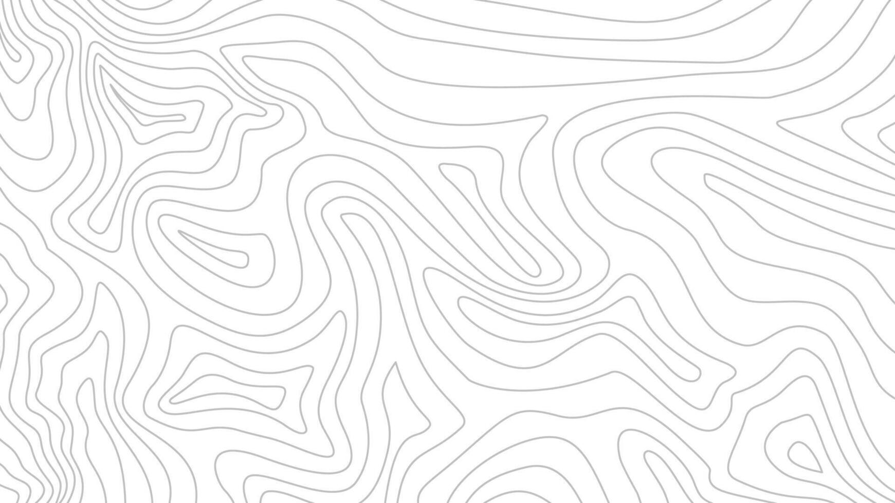 Topographic map background. Topographic contour map background. Contour background. Abstract wavy lines background. Background with topographic contours. vector
