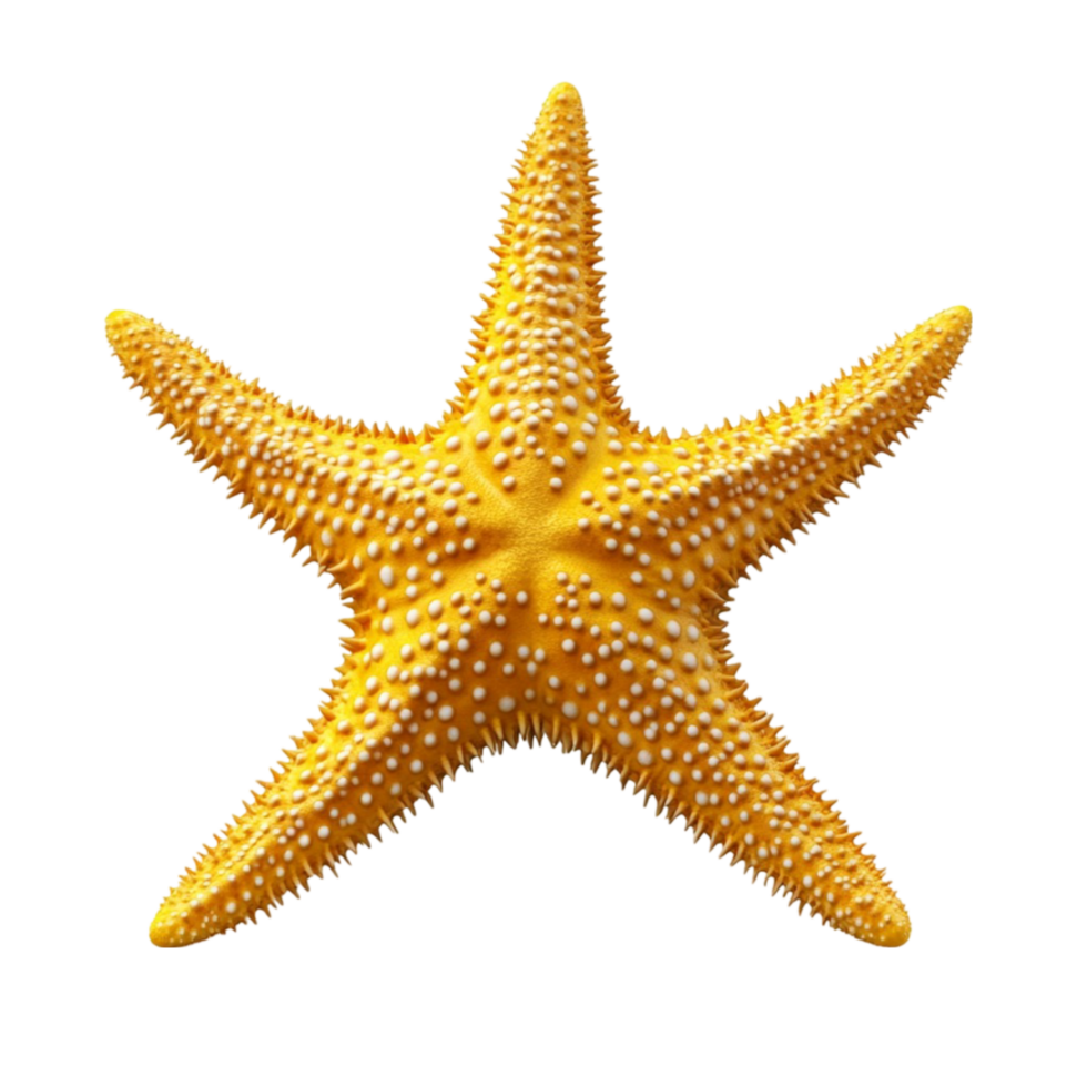Vivid Yellow Starfish with Five Arms on Transparent background AI-Generative png