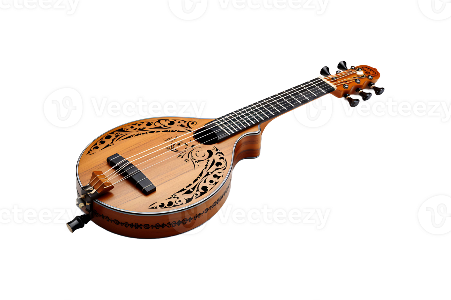 Sarod isolated on transparent background. png