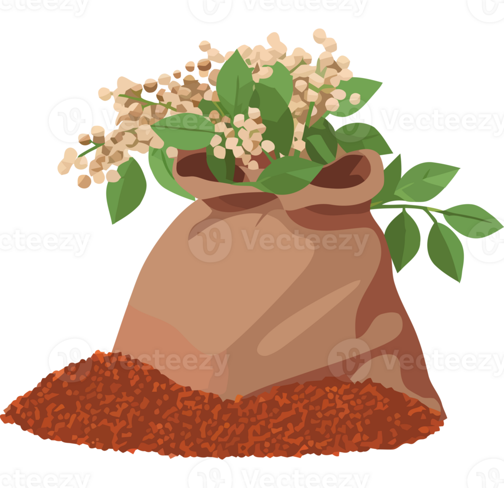 A bag of coffee beans with flowers and leaves png
