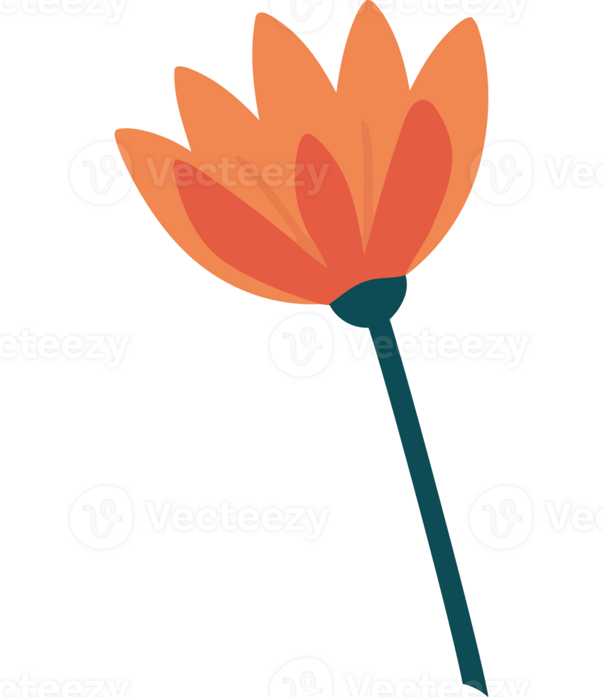 An orange flower with a green stem png