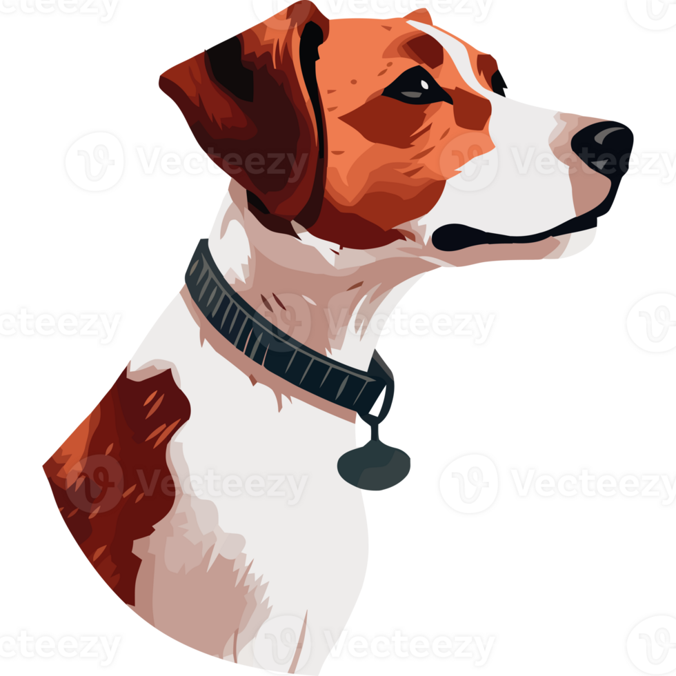 A dog with a collar on its neck png