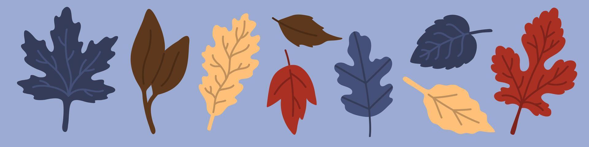 colored autumn leaves vector