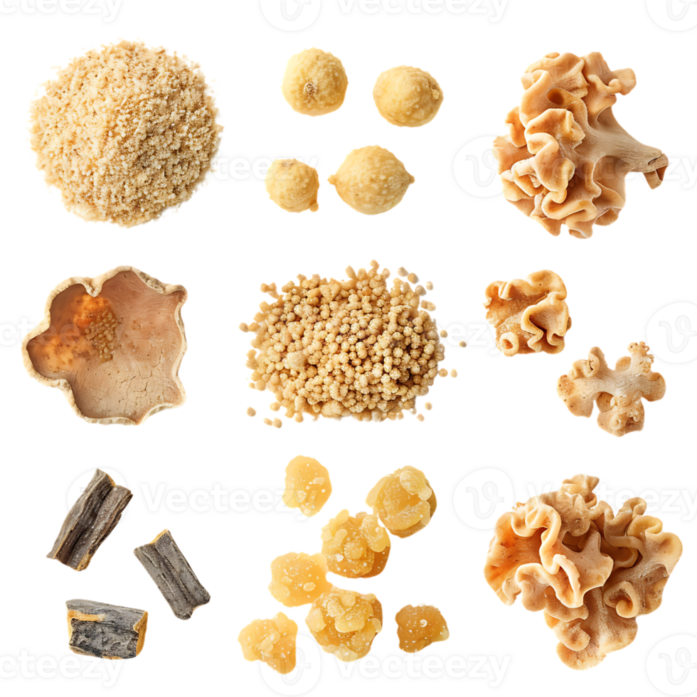Dried Mushroom Powder, Granules, and Pieces with Transparent Background png