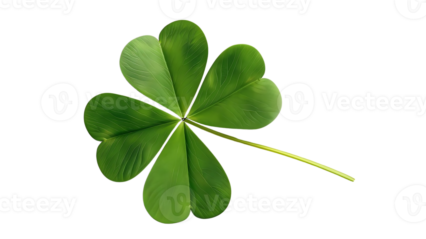 Four Leaf Clover Illustration on transparent Background png