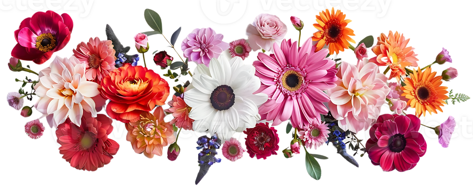 levendig bloei van roze, wit, en oranje gerbera madeliefjes met een transparant achtergrond png