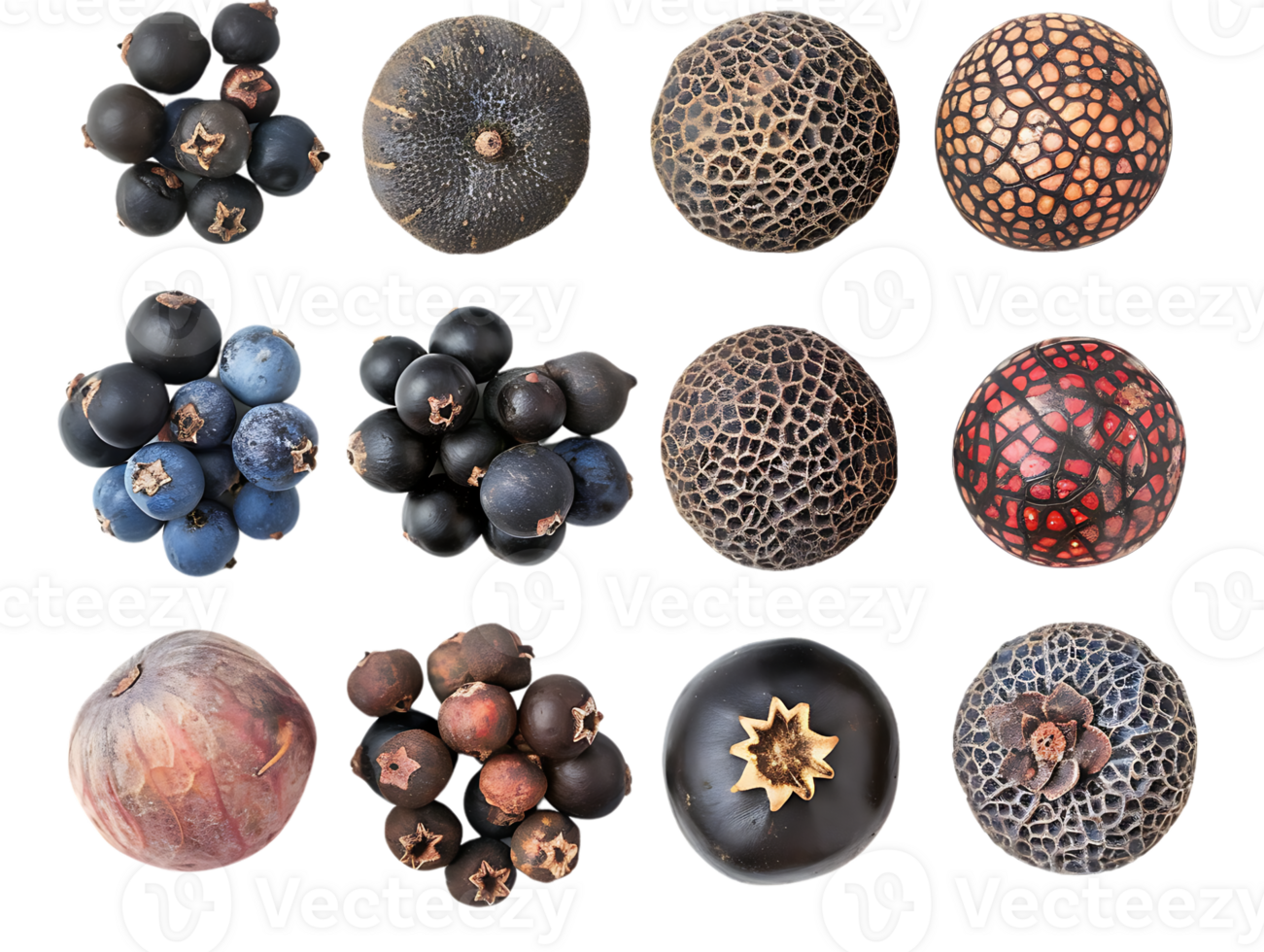 Black and Blue Berries with Transparent Background, Colorful Fruit, Natural Textures, Close-up Image, Isolated Objects,  Botanical Photography png