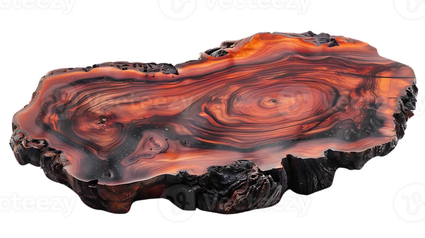 Stunning Red Wood Slice with Intricate Grain Patterns and Black Bark, Perfect for Crafting and Decoration png