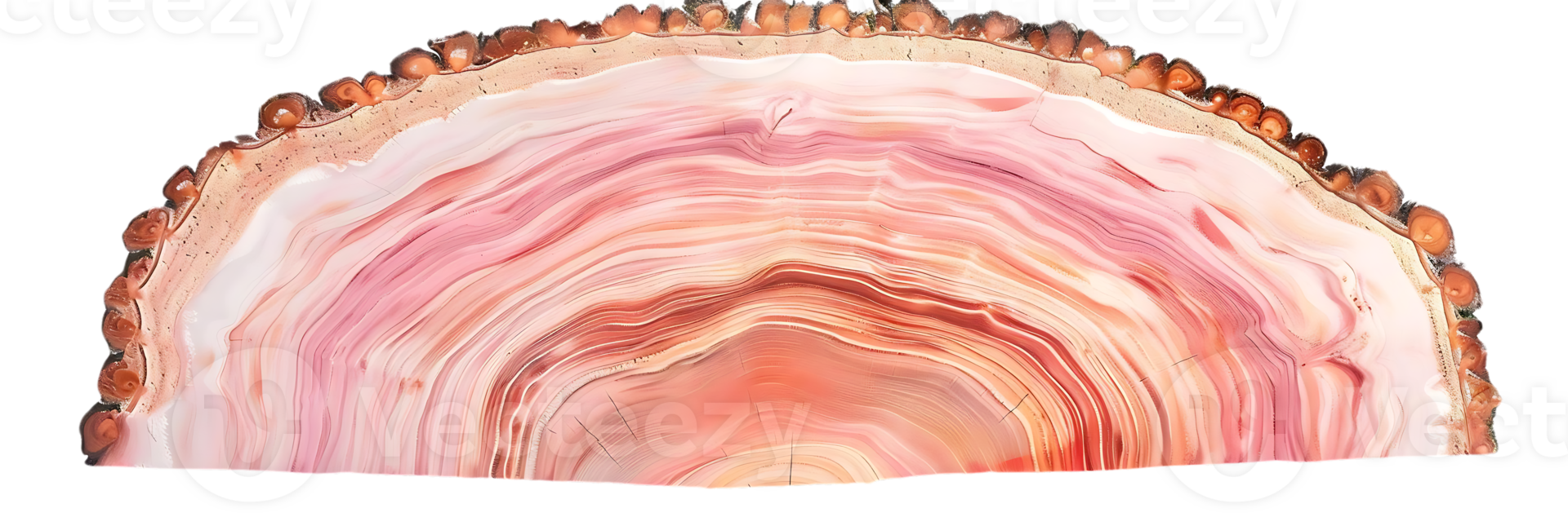 Agate Slice with Intricate Bands and a Transparent Background png