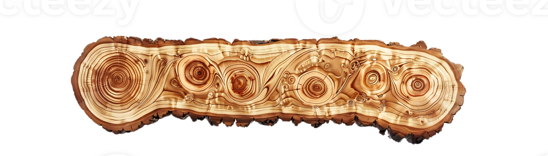 Intricate Patterns Revealed in a Cross-Section of Wood with a Transparent Background png
