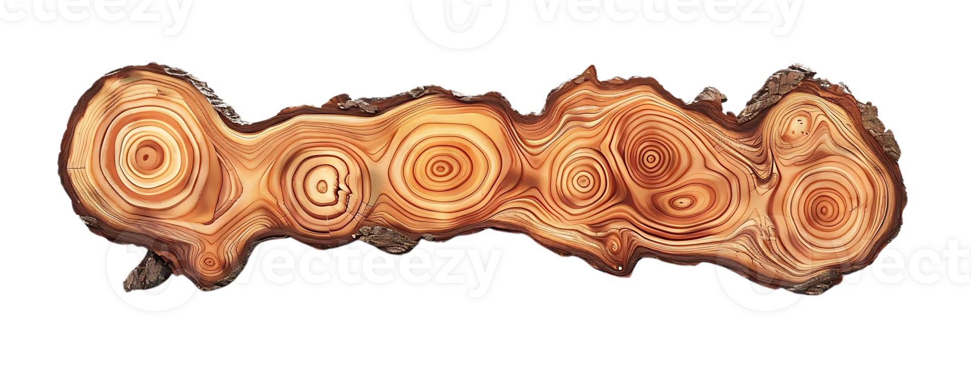 The Intricate Patterns of a Tree Cross Section with a Transparent Background png