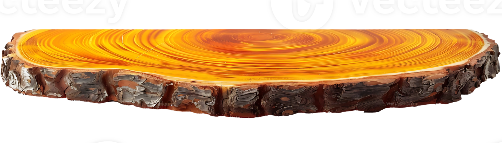 A Slice of Wood with a Transparent Background, Featuring the Beautiful Grain and Texture of the Wood png