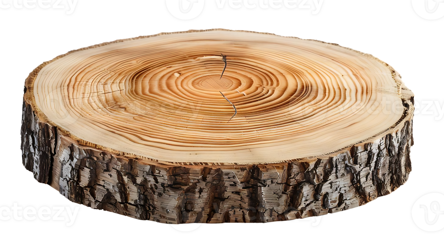 Tree Stump with a Transparent Background, Perfect for Creative Projects png
