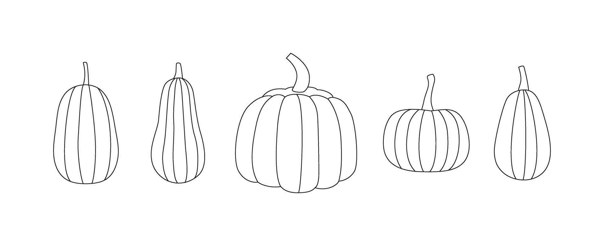 Outline fall pumpkins set. Autumn vegetable harvest. Line art, contour, sketch. Black and white. Editable stroke. Coloring page. isolated on white. vector
