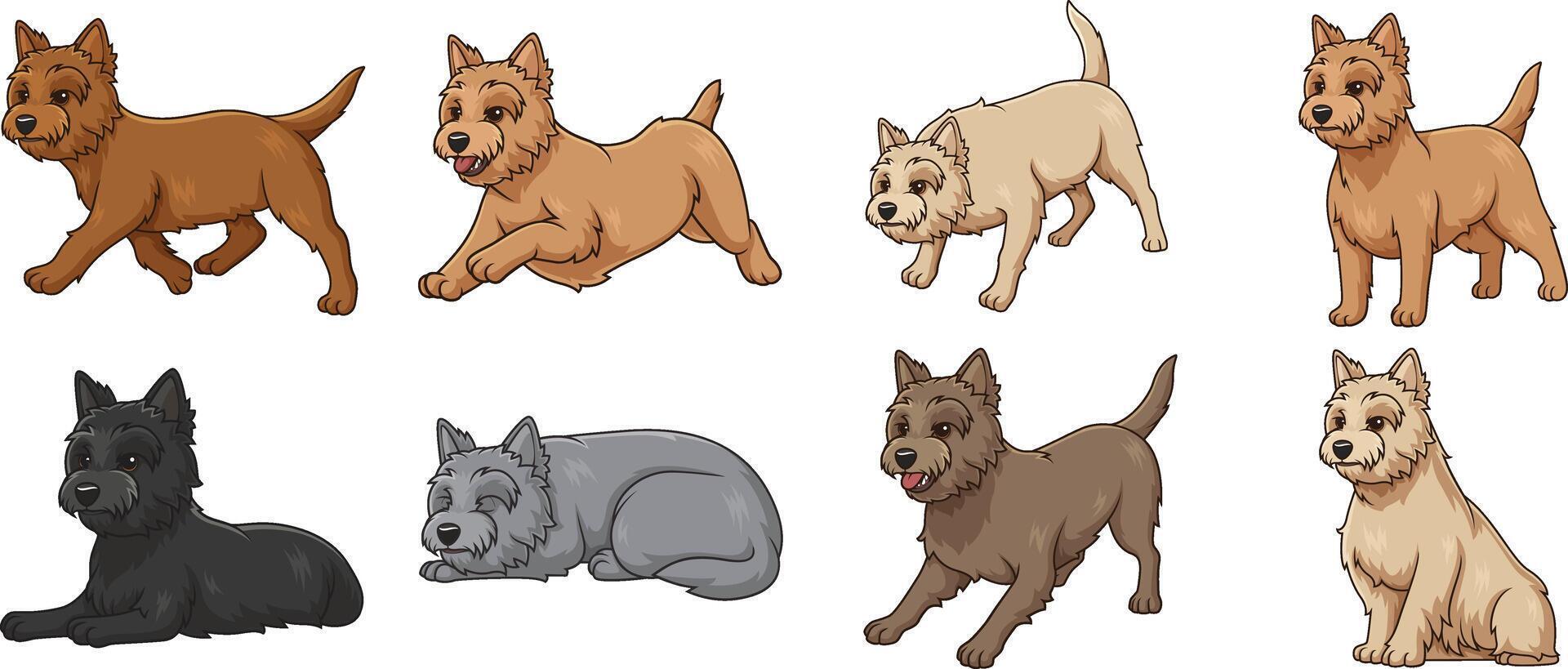 Cairn terrier dogs in various poses. Each image on a separate layer. vector