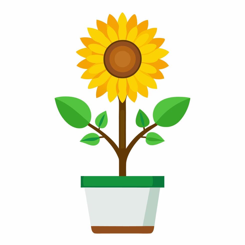 sunflower cartoon in a pot vector