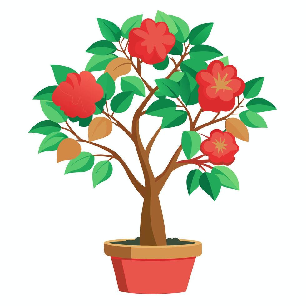 free hibiscus tree in pot vector