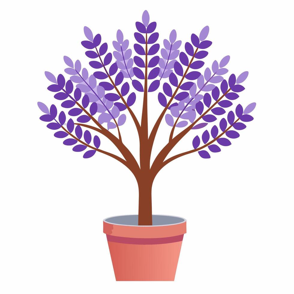 free lavender tree in pot vector